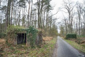 Ligne Maginot - ROUTE FORESTIERE DE LAUBACH 2 - (Blockhaus pour canon) - Vue du point d'appui avec les deux blockhaus de part et d'autre de la route