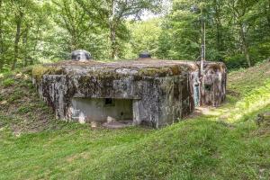 Ligne Maginot - DAMBACH SUD - C56 - (Casemate d'infanterie - Double) - 