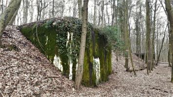 Ligne Maginot - WALKMUHL - (Abri) - Le coffre est