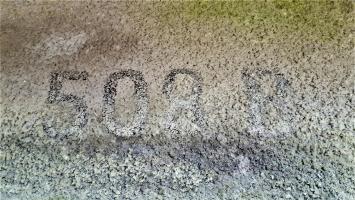 Ligne Maginot - WALKMUHL - (Abri) - Entrée Est
Marquage '508 B' au-dessus de l'entrée