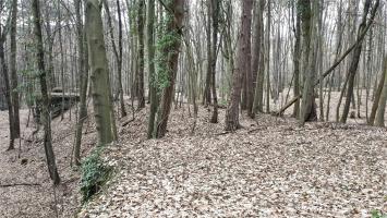 Ligne Maginot - WALKMUHL - (Abri) - Remblais entre les deux coffres