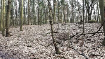 Ligne Maginot - WALKMUHL - (Abri) - Remblais entre les deux coffres