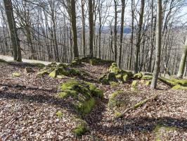 Ligne Maginot - PLATEAU D'EXIL (POINT D'APPUI) - (Divers) - 