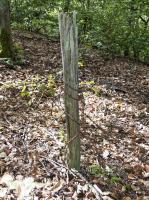 Ligne Maginot - KAMELSBERG (POINT D'APPUI) - (Divers) - Reste de fil de fer barbelé