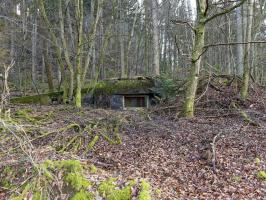 Ligne Maginot - NEUWEIHER 1 - (Blockhaus pour canon) - 