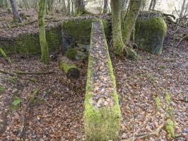 Ligne Maginot - NEUWEIHER 1 - (Blockhaus pour canon) - 