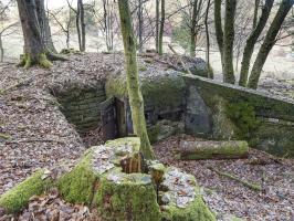 Ligne Maginot - NEUWEIHER 1 - (Blockhaus pour canon) - Le coté entrée et dispositif de mise à feu du DMP