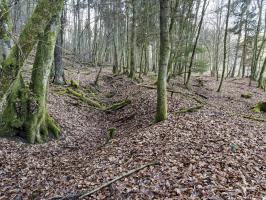 Ligne Maginot - NEUWEIHER 1 - (Blockhaus pour canon) - Tranchée sur l'arrière du blockhaus à proximité