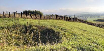 Ligne Maginot - LA FERTE - (Ouvrage d'infanterie) - Entonnoir à proximité du réseau antichar du bloc 1