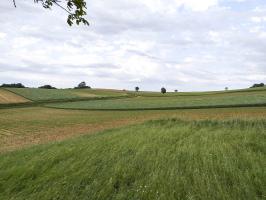 Ligne Maginot - HECKENMUEHLE EST - (Blockhaus pour canon) - Direction de tir du bloc