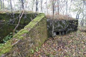 Ligne Maginot - LEGERET NORD 2 - GM1 - (Blockhaus pour arme infanterie) -  