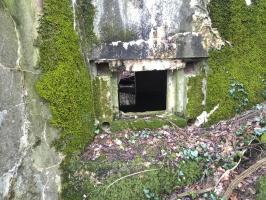 Ligne Maginot - DB346 - GRAND BOIS SUD - (Blockhaus pour arme infanterie) - 