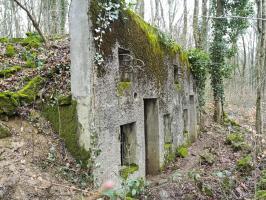 Ligne Maginot - GRAND BOIS OUEST - (PC) - 