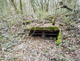 Ligne Maginot - GRAND BOIS - (Dépôt de Munitions) - Niche