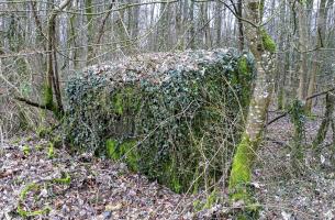 Ligne Maginot - DBO5 - (Blockhaus pour canon) - 