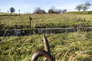 Ligne Maginot - HAUT POIRIER - (Ouvrage d'infanterie) - Réseau de barbelés

