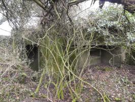 Ligne Maginot - BB8 - KOBENBERG - (Blockhaus pour canon) - L'entrée du blockhaus à gauche et le deuxième créneau mitrailleuse.