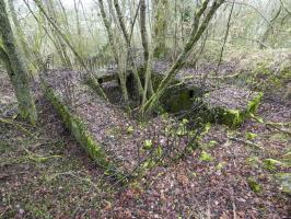 Ligne Maginot - BB320 - (Blockhaus pour canon) - La façade arrière avec l'entrée du canon.
