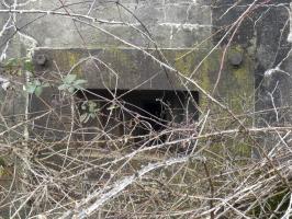 Ligne Maginot - BB319 - SANDBRUCKEN 2 - (Blockhaus pour arme infanterie) - Le créneau pour mitrailleuse.