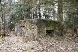 Ligne Maginot - HATTENER STANGER EST 2 - (Blockhaus pour canon) - 