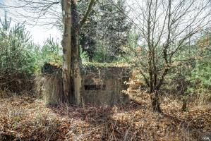Ligne Maginot - HATTENER STANGER NORD 1 - (Blockhaus pour arme infanterie) - 
