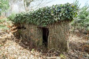Ligne Maginot - HATTENER STANGER NORD 1 - (Blockhaus pour arme infanterie) - 