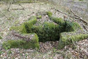 Ligne Maginot - MAISON FORESTIERE DE RITTERSHOFFEN 4 - (Cuve pour arme d'infanterie) - 