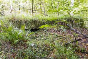 Ligne Maginot - SCHONUNG 1 (Blockhaus pour arme infanterie) - 