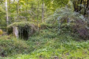 Ligne Maginot - SCHONUNG 1 (Blockhaus pour arme infanterie) - L'entrée