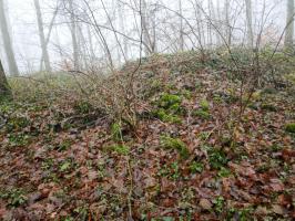 Ligne Maginot - DB229 - (Blockhaus pour arme infanterie) - Seul trace des travaux: les déblais