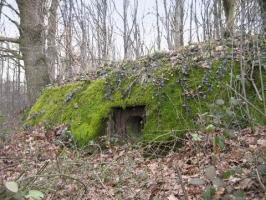 Ligne Maginot - CARREFOUR 121 - (Blockhaus pour arme infanterie) - Le créneau FM central