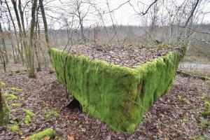 Ligne Maginot - CB85-C - BARRUNGSHOFF - (Blockhaus pour arme infanterie) - 