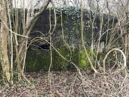 Ligne Maginot - MITTELGRUND - (Blockhaus pour arme infanterie) - Vue des créneaux