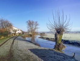 Ligne Maginot - B7 - LA FERTE EST - (Blockhaus pour arme infanterie) - Le canal de dérivation de la Chiers à proximité du blockhaus B7 