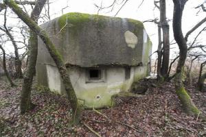 Ligne Maginot - GRIES (Blockhaus pour arme infanterie) - 