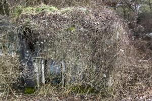 Ligne Maginot - SCHWARZLACH 4 (Blockhaus pour arme infanterie) - 