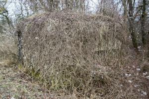 Ligne Maginot - SCHWARZLACH 4 (Blockhaus pour arme infanterie) - 