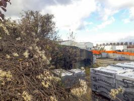 Ligne Maginot - SILWILLIGEN 2 - (Blockhaus pour arme infanterie) - 