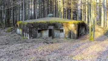 Ligne Maginot - SAEGEMUHLE - (Blockhaus pour arme infanterie) - Vue vers l'entrée et les deux caponnières FM