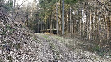 Ligne Maginot - SAEGEMUHLE - (Blockhaus pour arme infanterie) - Le blockhaus vu depuis la vallée du Soultzbach, à l'est