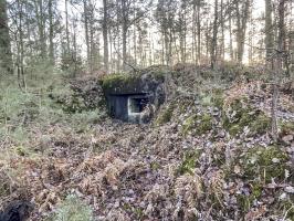 Ligne Maginot - MAIN DU PRINCE 1 - (Blockhaus pour canon) - Façade frontale du blockhaus
Les remblais de protection sont bien visibles