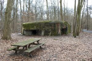 Ligne Maginot - 21 - LESERWOERTH - (Casemate d'infanterie - Simple) - Vue générale