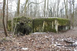Ligne Maginot - 21 - LESERWOERTH - (Casemate d'infanterie - Simple) - Façade arrière du blockhaus