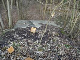 Ligne Maginot - 295A - PORT DU RHIN SUD 28 - (Blockhaus pour arme infanterie) - Dalle du blockhaus