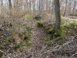 Ligne Maginot - PFAFFENKLAUSERBUSCH - (Abri) - Les tranchées qui conduisent à l'abri.