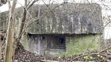 Ligne Maginot - 415 - RIEBEL - (Casemate d'infanterie) - Chambre de tir Nord
Créneau mitrailleuse