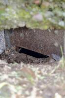 Ligne Maginot - AERODROME D'ENTZHEIM - (Observatoire d'infanterie) - Vue détaillée de l'embrasure droite de la guérite