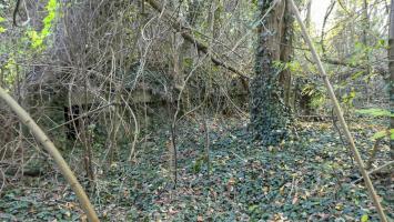 Ligne Maginot - FEIL 3 - (Abri) - 