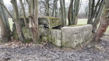 Ligne Maginot - GROSSBELTZWOERTH EST - (Blockhaus pour canon) - Vue coté gauche