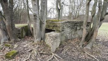 Ligne Maginot - GROSSBELTZWOERTH EST - (Blockhaus pour canon) - Vue coté droit
